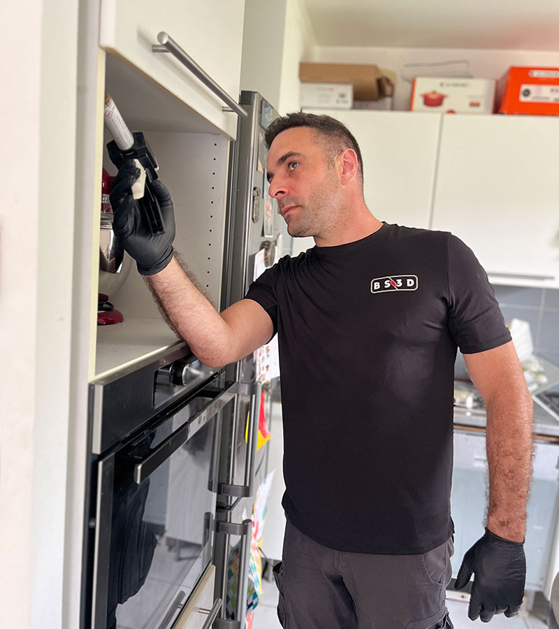 Désinsectisation des cafards à Saint Egrève